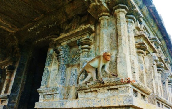 10606293_10154634901280324_1473827120159183426_n