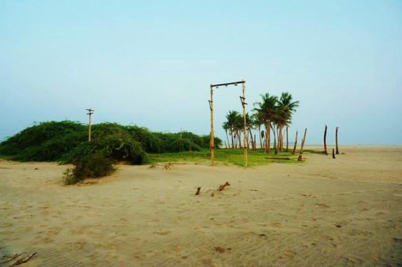 10639628_10154634685825324_9054776412765776098_n