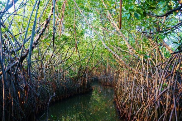 10710864_10154634719365324_8392007903342806373_n